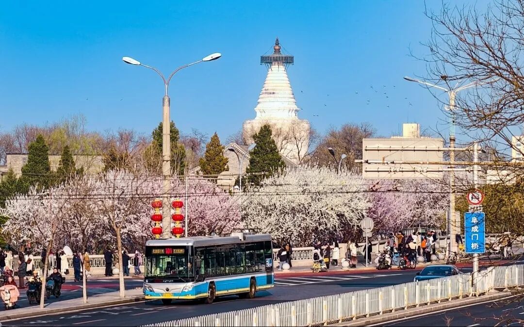 北京交通部门发布最新提示：清明假期北京易拥堵路段和事故多发路段——