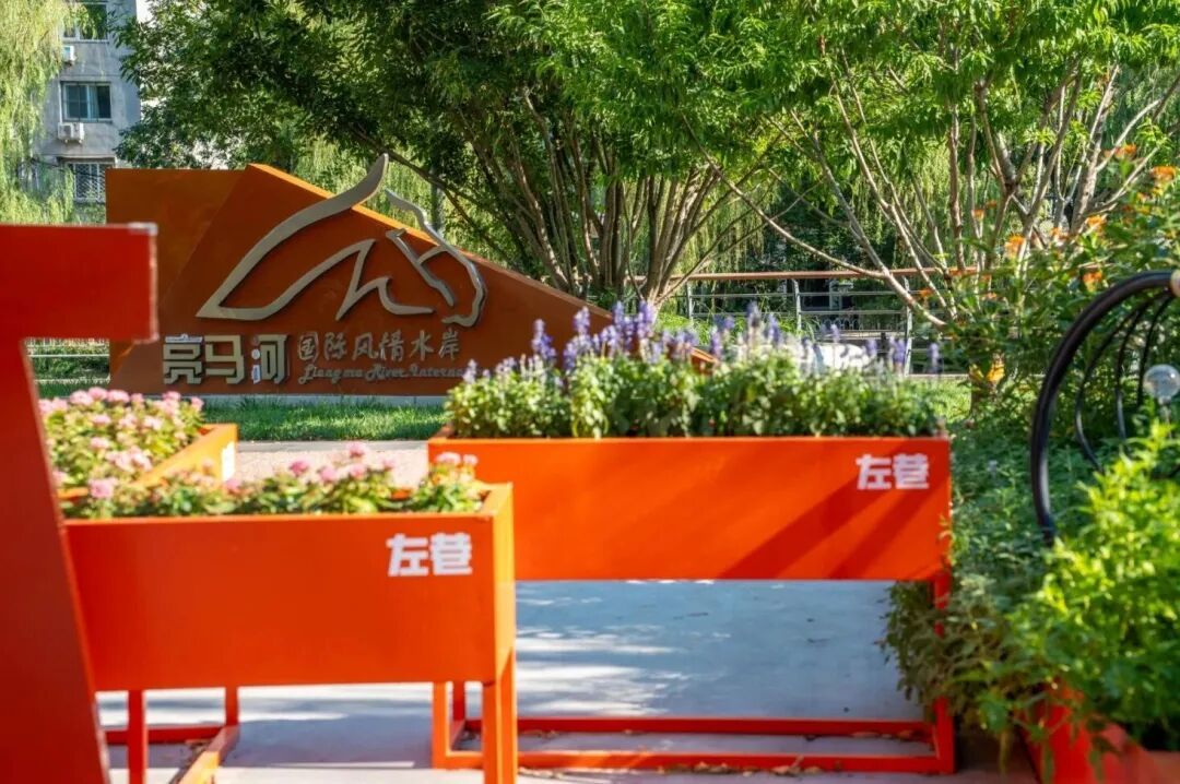 小而美的变化！春日漫步，北京这些街巷颜值真高——