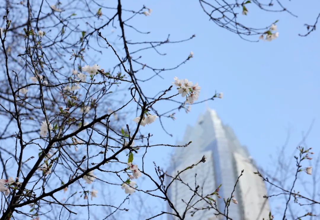 今年或有3-5个台风影响温州！汛期最新预测→