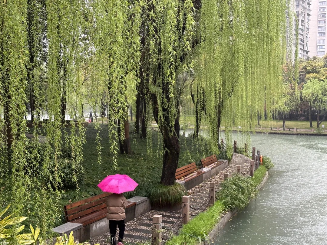 今年或有3-5个台风影响温州！汛期最新预测→