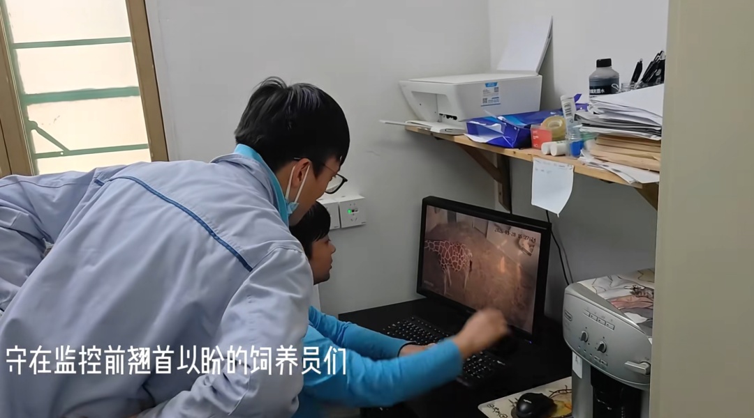 刚出生身高就1米93？家族喜讯不断！网友羡慕：我一生遥不可及的梦