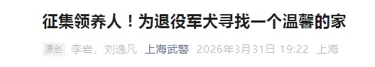 上海武警发布：6只军犬即将光荣退役，正在招募领养人！