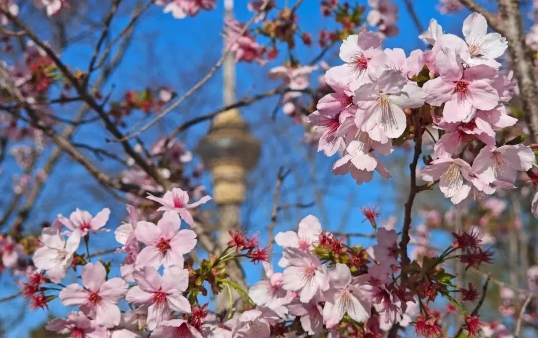 北京交通部门发布最新提示：清明假期北京易拥堵路段和事故多发路段——