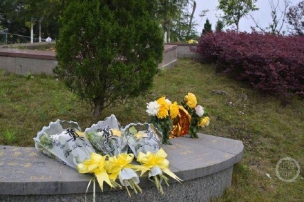 重庆今日14.1万人次祭扫！未来三天重庆将迎来清明祭扫高峰