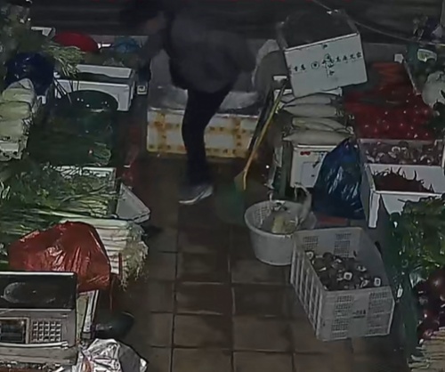 男子被犬吠依旧淡定行窃，不料被监控拍下全过程