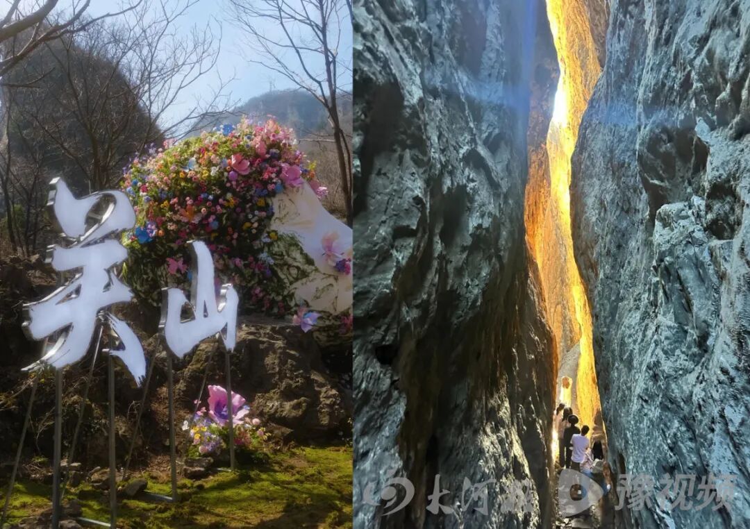 河南博物院、白马寺清明小长假预约已满！河南多地景区官宣：免票