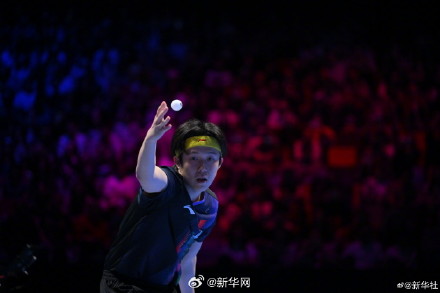 祝贺！王楚钦晋级八强