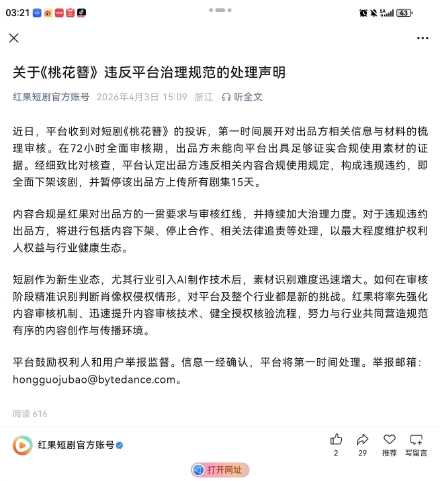 桃花簪出品方暂停上传剧集15天