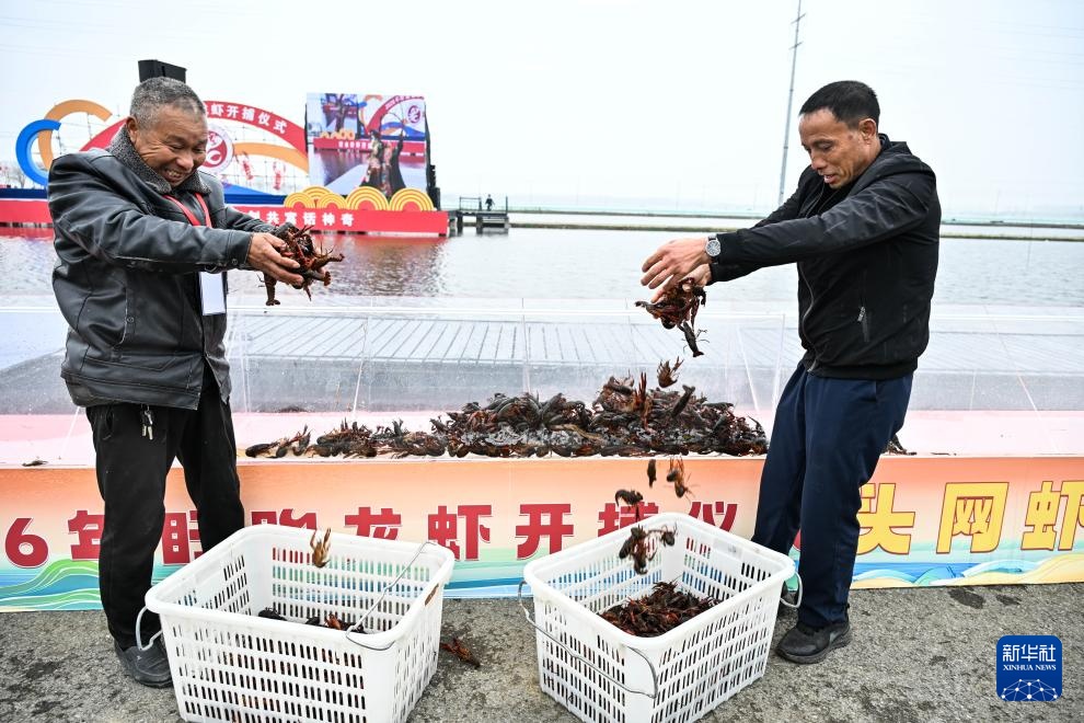 江苏：盱眙小龙虾开捕