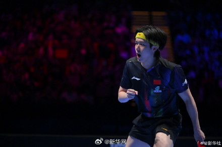 祝贺！王楚钦晋级八强