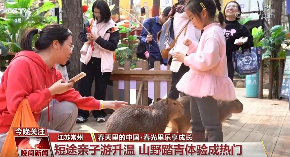 踏青寻春、跟着课本去旅行、研学游……春假“搅热”多地文旅市场