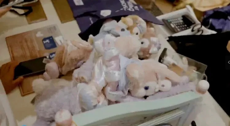 事发上海迪士尼！300元商品30元就卖了，28人全部被抓！警方披露案情