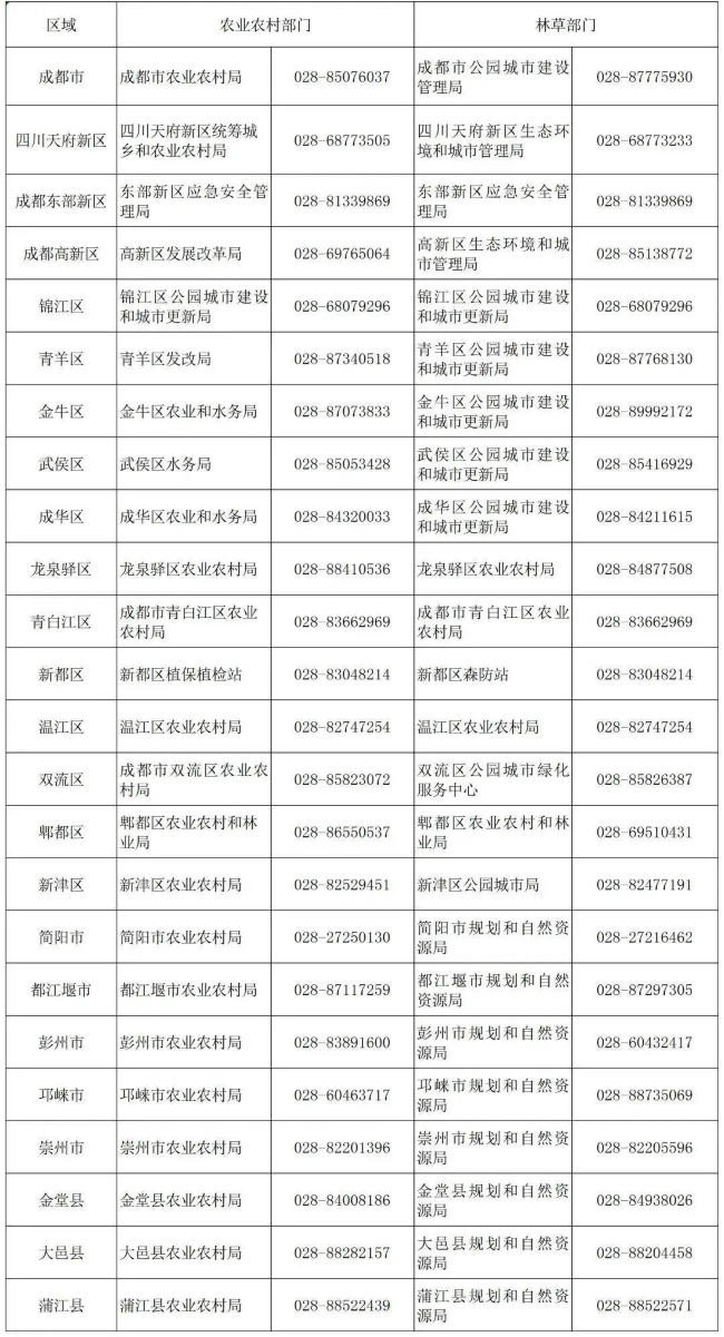 千万不要碰、不要踩！成都多处已出现红火蚁，专家：或与近期升温有关