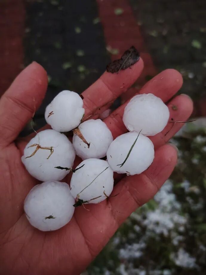 贵阳冰雹下出冰河既视感！这场冰雹到底咋来的？