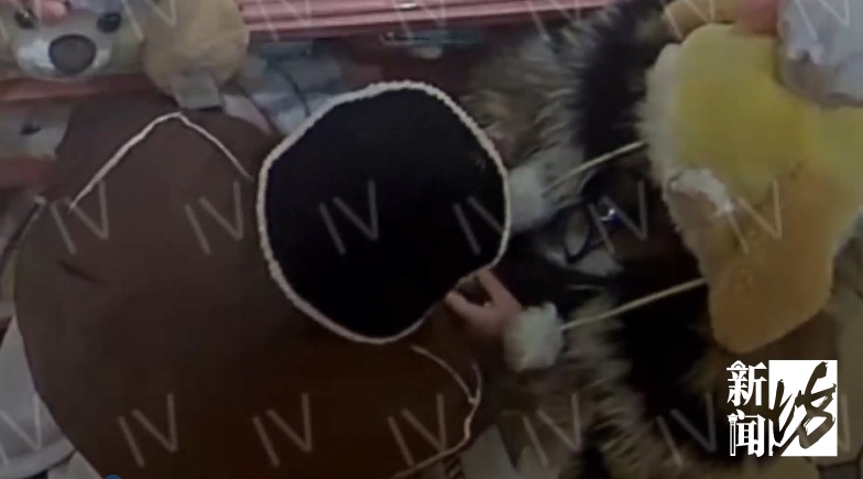 专盯迪士尼限量玩偶，28人团伙靠 “忘记付款” 盗卖牟利10余万元