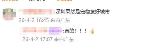 急！深圳车主求支招！猫妈妈带娃钻进发动机舱，向全网求助拯救“五小只”…