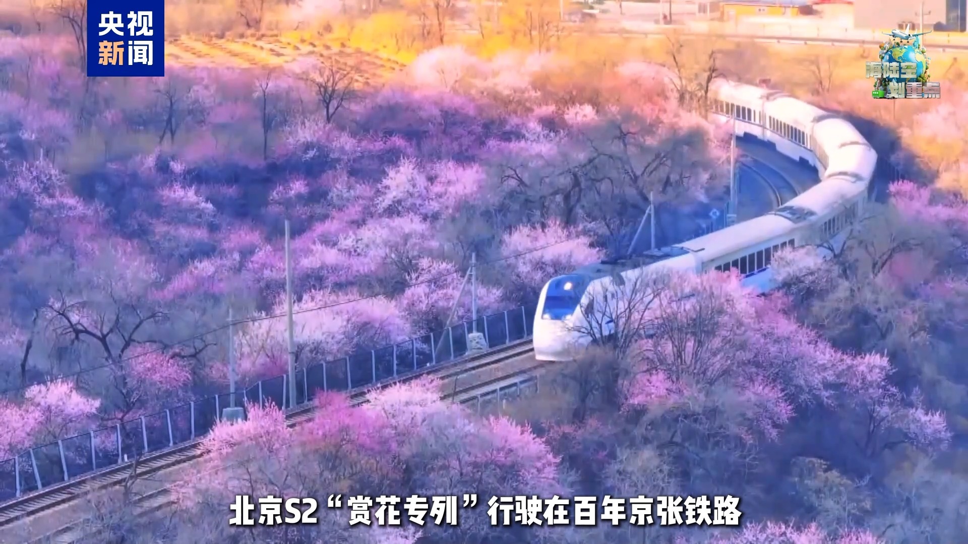 一起去坐开往春天的列车 这份清明赏花攻略请收好