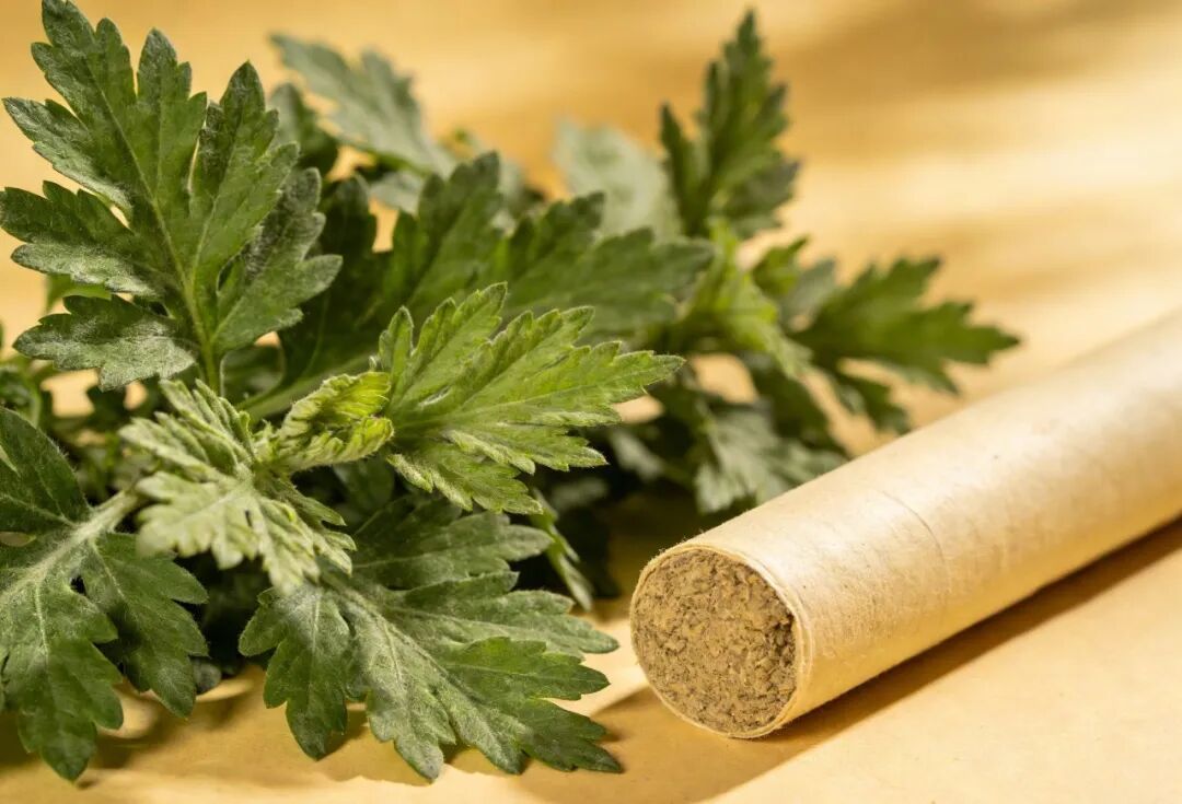 艾香漫四月｜艾灸养生正当时，老幼皆宜的科学艾灸指南~