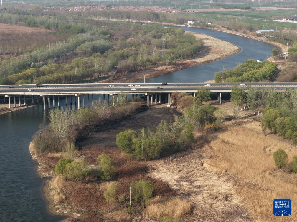 京杭大运河春色 京杭大运河春色