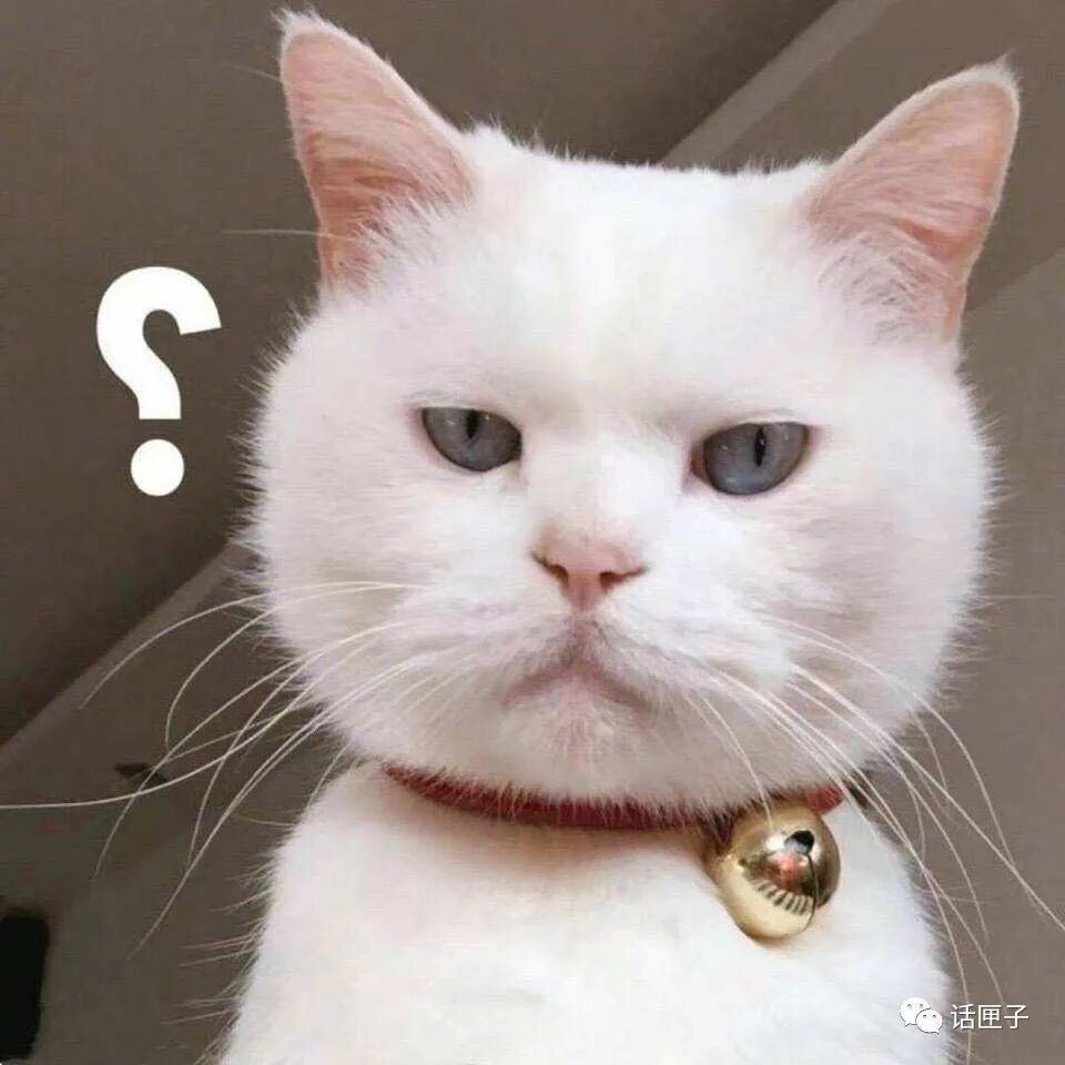 莫让尝鲜变“尝险”!“打野”勇士紧急就诊→ 莫让尝鲜变“尝险”!“打野”勇士紧急就诊→