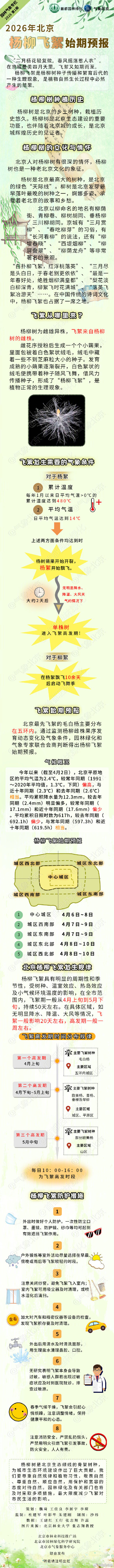 北京2026年杨柳飞絮始期预报