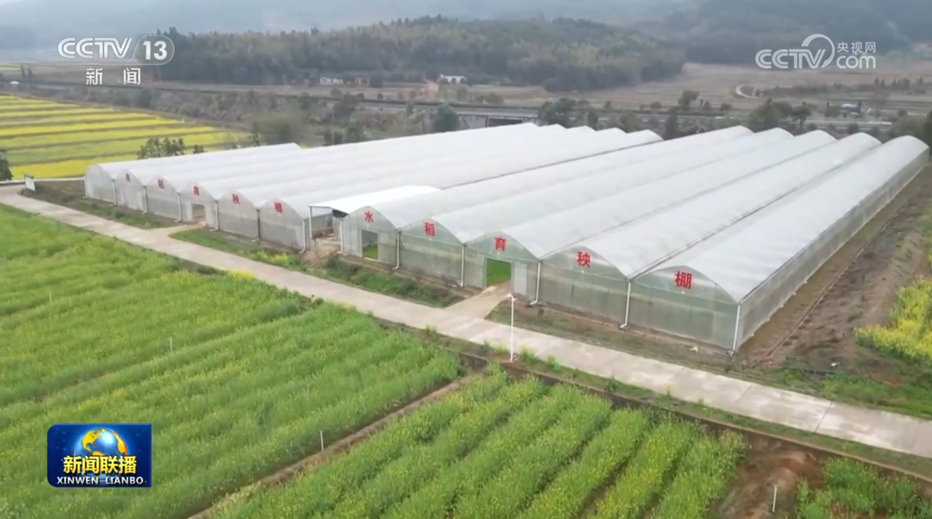 各地春耕生产持续推进