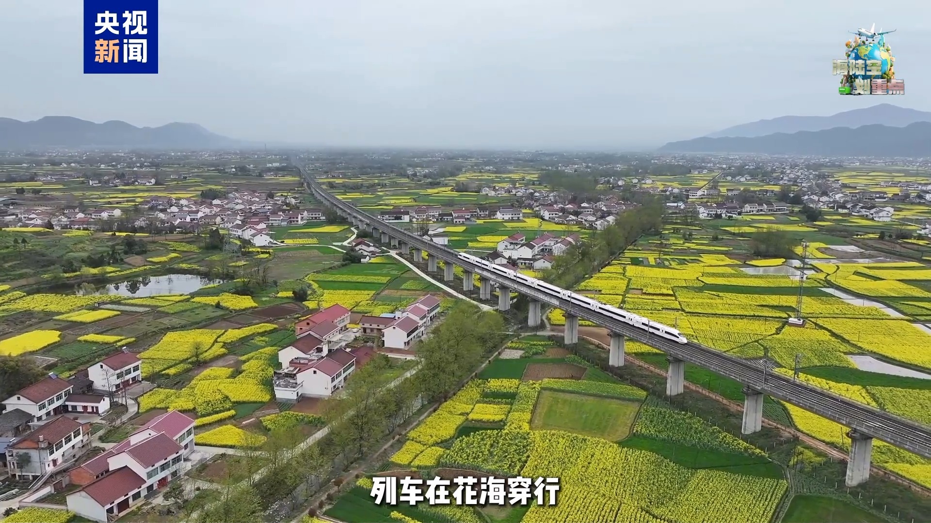 一起去坐开往春天的列车 这份清明赏花攻略请收好