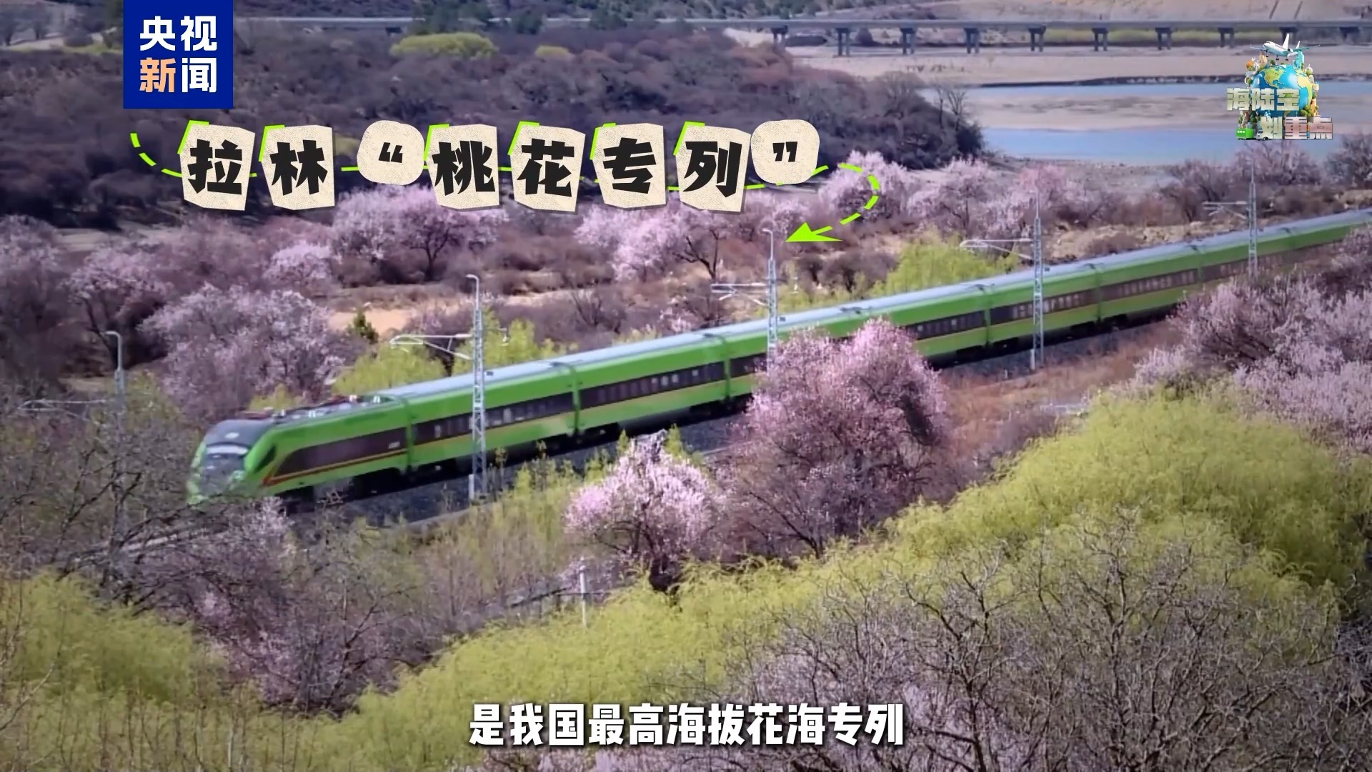 一起去坐开往春天的列车 这份清明赏花攻略请收好