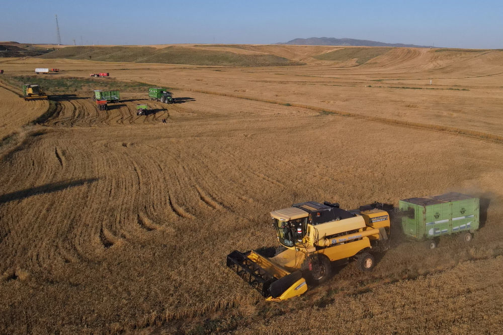 农业成本因伊朗战事上升 土耳其取消部分化肥关税
