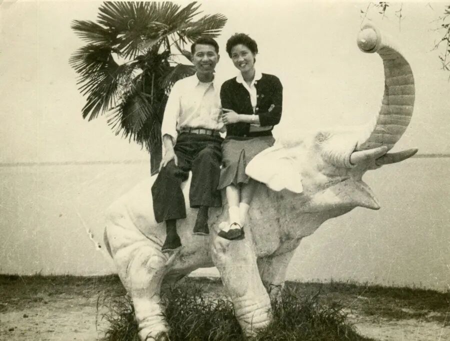 痛悼！著名弹词表演艺术家张如君在沪离世，享年94岁，为评弹艺术奉献一生