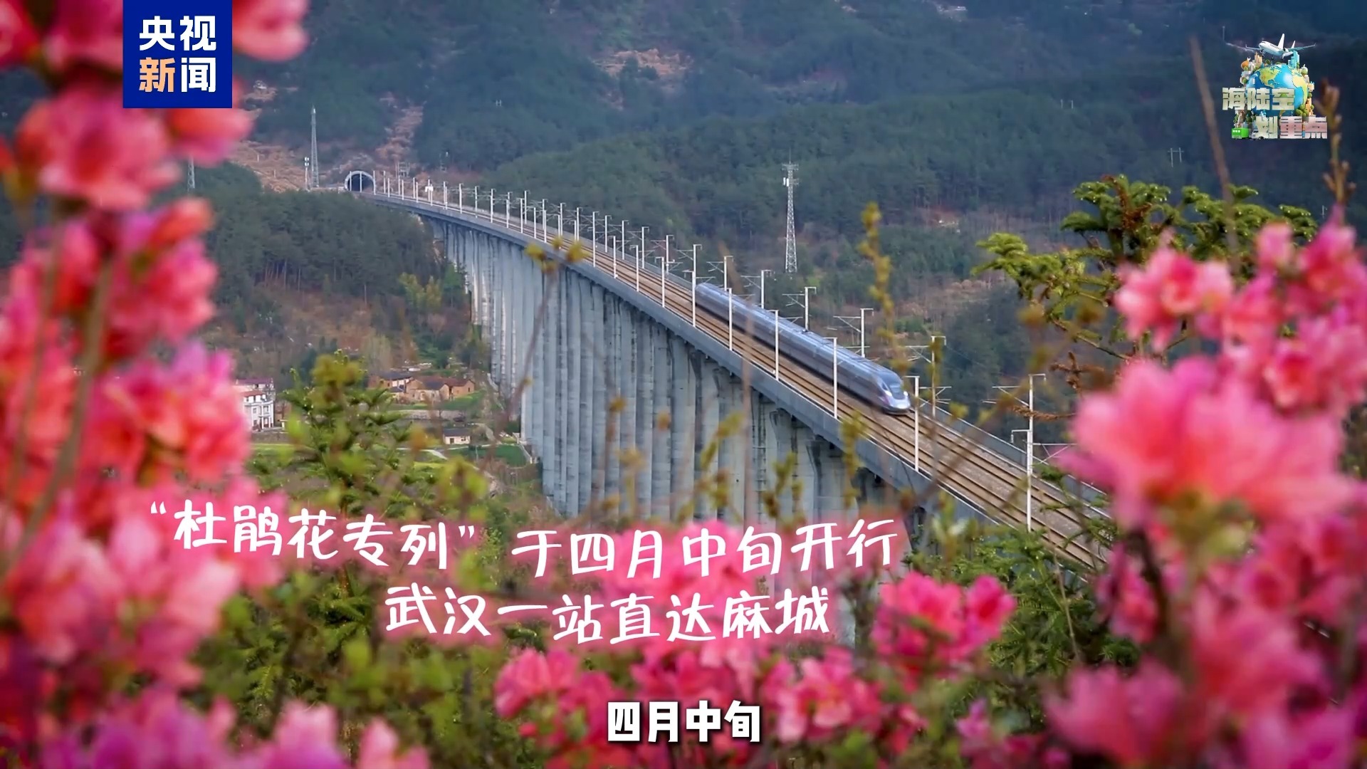 一起去坐开往春天的列车 这份清明赏花攻略请收好