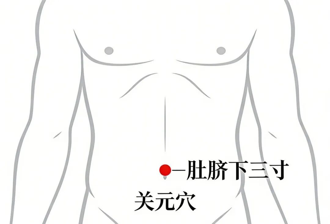 艾香漫四月｜艾灸养生正当时，老幼皆宜的科学艾灸指南~