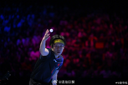 恭喜！王楚钦胜F勒布伦晋级八强