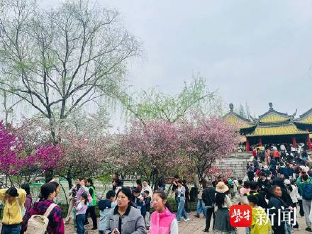 江苏首个春假接待游客1405万余人次