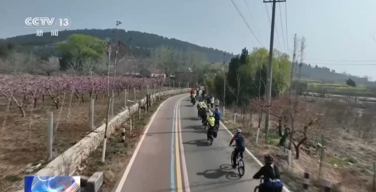 春季过敏高发期 驾车风险要警惕 春季过敏高发期 驾车风险要警惕