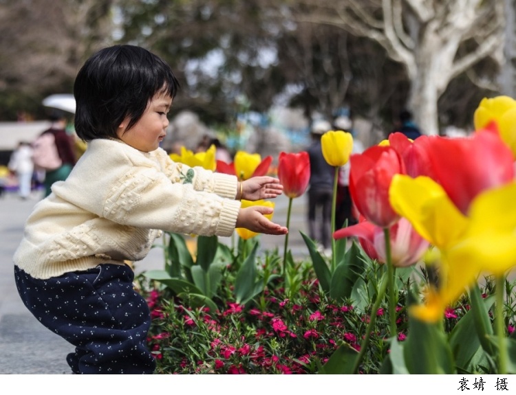 医院过敏患者就诊量上升,花粉过敏竟不是花惹的祸? 医院过敏患者就诊量上升,花粉过敏竟不是花惹的祸?