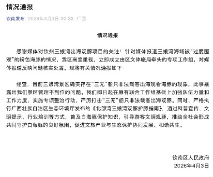 广西钦州通报三娘湾出海观豚乱象