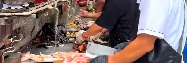 生意爆火!老板却崩溃了:“我准备倒闭了!” 生意爆火!老板却崩溃了:“我准备倒闭了!”