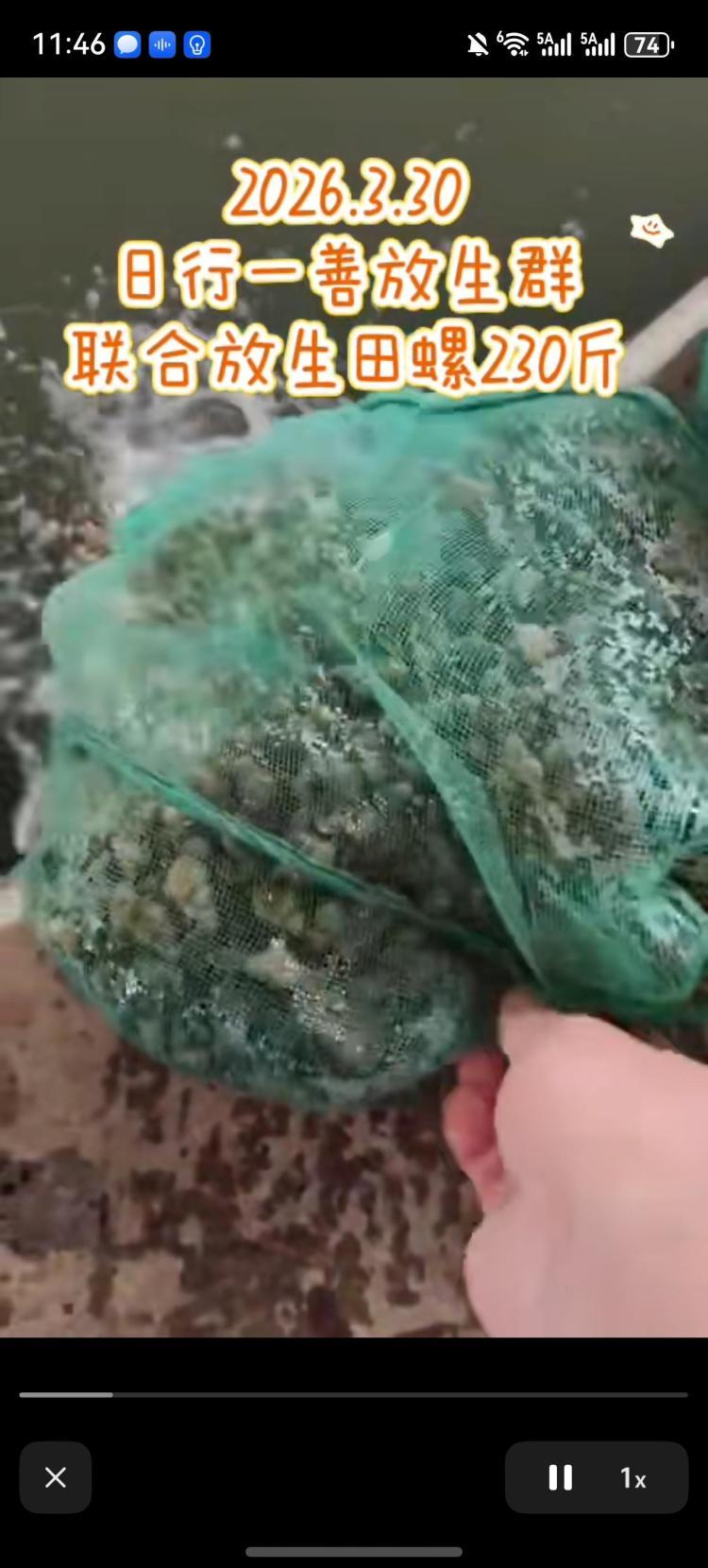 “功德”被明码标价 揭开直播间“打赏放生”的生态隐患 “功德”被明码标价 揭开直播间“打赏放生”的生态隐患