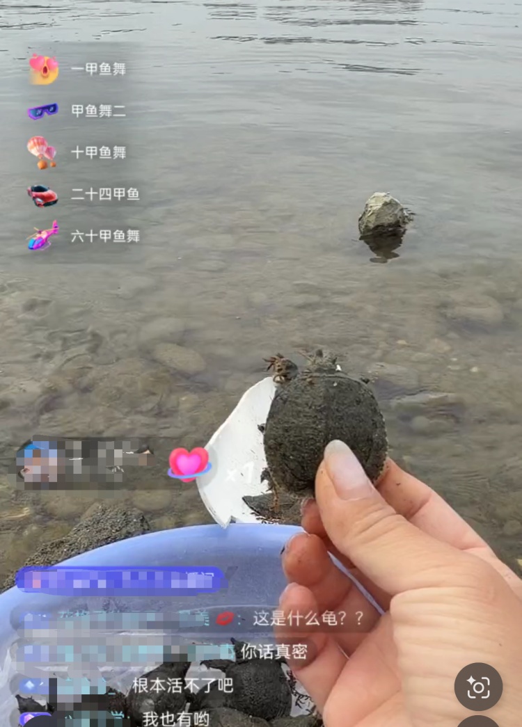 “功德”被明码标价 揭开直播间“打赏放生”的生态隐患 “功德”被明码标价 揭开直播间“打赏放生”的生态隐患