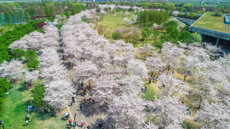 医院过敏患者就诊量上升,花粉过敏竟不是花惹的祸? 医院过敏患者就诊量上升,花粉过敏竟不是花惹的祸?