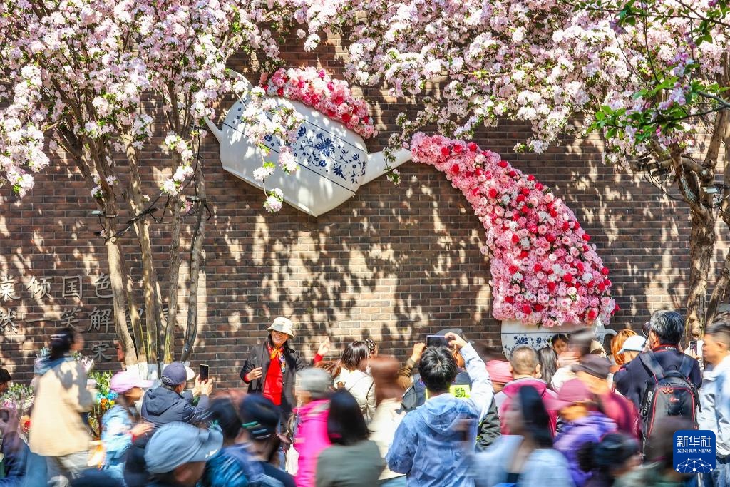 海棠花开五大道 海棠花开五大道