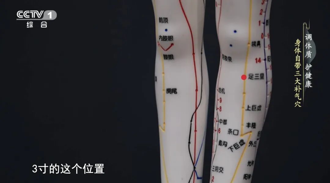 面色苍白无光泽、手脚冰凉？如果你是这两类人群，对症调理更有效～