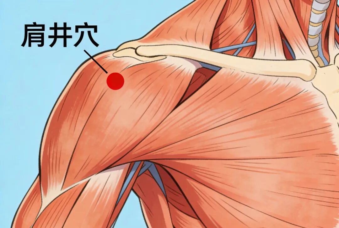 艾香漫四月｜艾灸养生正当时，老幼皆宜的科学艾灸指南~