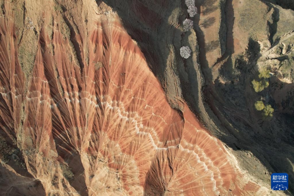 航拍甘肃东乡“羊肉卷”地貌 航拍甘肃东乡“羊肉卷”地貌