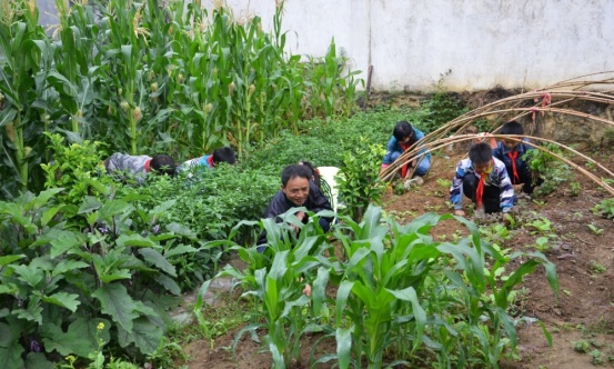 他独闯“禁区”40年,终于有了接班人 他独闯“禁区”40年,终于有了接班人