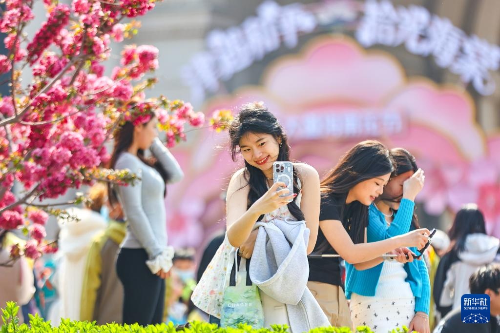 海棠花开五大道 海棠花开五大道