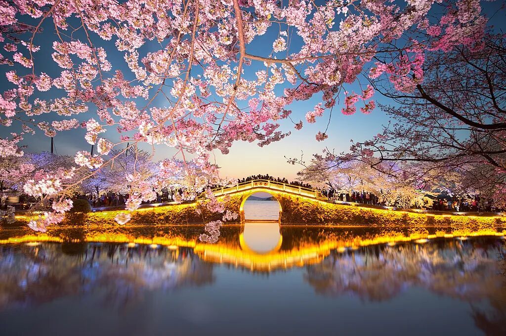 今日清明，讲个冷知识