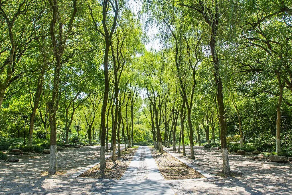 今日清明，讲个冷知识