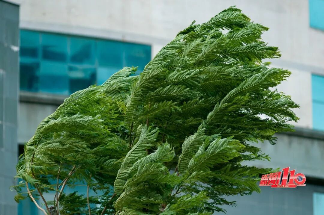 即将反转！暴雨、大暴雨、雷暴大风！福州人外出祭扫提前防范！